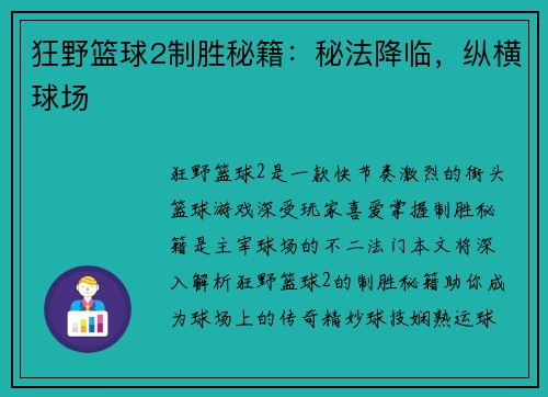 狂野篮球2制胜秘籍：秘法降临，纵横球场