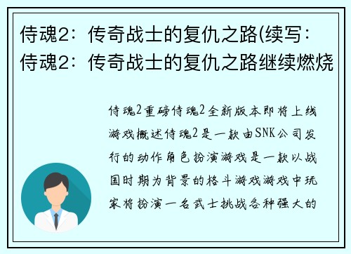 侍魂2：传奇战士的复仇之路(续写：侍魂2：传奇战士的复仇之路继续燃烧)